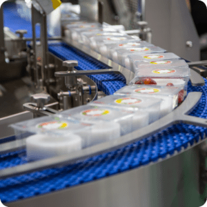 Food-Processing